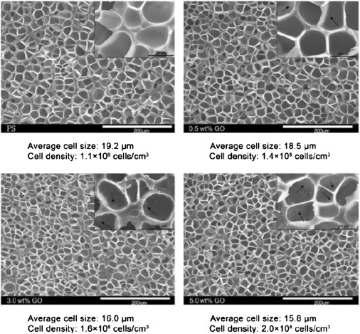 Four images of the cellular density under a microscope.