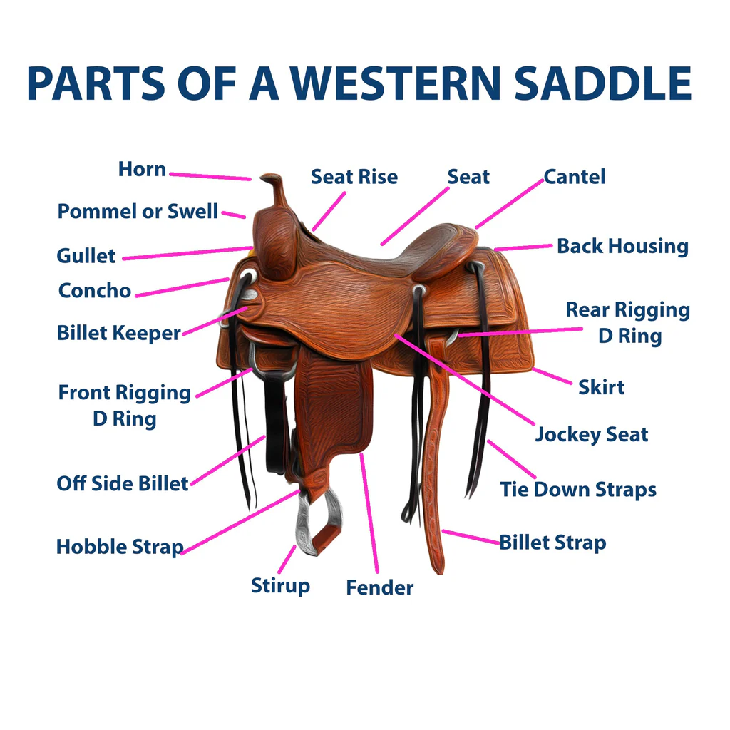 Western Saddle